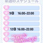 ヒメ日記 2025/09/07 08:51 投稿 川上ゆうひ しこたま奥様 横浜店