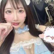 ヒメ日記 2025/11/11 18:15 投稿 月島ふうり HYPER TOKYO