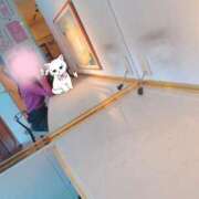 ヒメ日記 2025/10/20 09:48 投稿 きづな 熟女家 豊中蛍池店