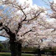 ヒメ日記 2025/07/14 20:42 投稿 さくらこ 美少女宅急便