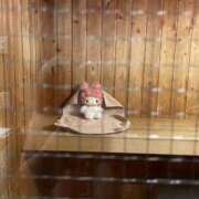 ヒメ日記 2025/07/15 15:18 投稿 さくらこ 美少女宅急便