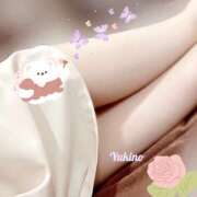 ヒメ日記 2025/08/19 12:02 投稿 ユキノ PLATINUM