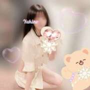 ユキノ ありがとう?と予定一部変更 PLATINUM