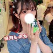 暁月しのあ 🥀あと11日🥀 ラブアイドル