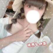 暁月しのあ 🥀きらきらっ🥀 ラブアイドル