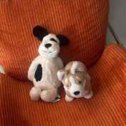 ヒメ日記 2025/08/06 17:02 投稿 すみれ 卒業したて。