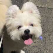 ヒメ日記 2025/10/08 14:02 投稿 ひなみ 東京♂風俗の神様 町田・相模原店