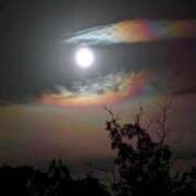 ヒメ日記 2025/10/28 23:49 投稿 るの ぐっどがーる浜松店