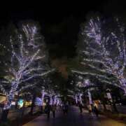 ヒメ日記 2025/11/22 19:19 投稿 るの ぐっどがーる浜松店