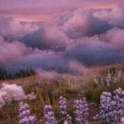 るの やったー！ ぐっどがーる浜松店