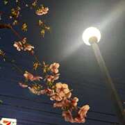 ヒメ日記 2026/03/04 19:28 投稿 るの ぐっどがーる浜松店