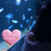 ヒメ日記 2025/11/03 19:39 投稿 バニラ ESSENCE