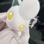 バニラ ﾌﾟﾗｲﾍﾞｰﾄè ·̫ é❣️ ESSENCE