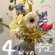 アイ お久しぶりです エピソード(品川)