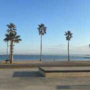 とら お礼日記✨ ジュリアングループ八王子店