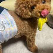 ヒメ日記 2025/09/13 07:08 投稿 まい 俺のKissリフレ