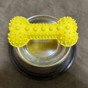 ヒメ日記 2025/11/06 21:21 投稿 らん C.C.CATS