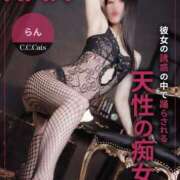 ヒメ日記 2026/01/15 08:42 投稿 らん CCキャッツ