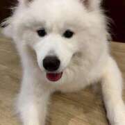 ヒメ日記 2025/08/06 19:55 投稿 りまり 京都BOOK MARK（ブックマーク）