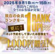 ヒメ日記 2025/09/12 23:38 投稿 ユカリ/紫 仙台性感処　CLUB　EDEN