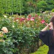 ヒメ日記 2025/07/21 23:09 投稿 瑠那(るな) 麗しい人妻 新宿本店