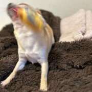 ヒメ日記 2025/08/04 13:49 投稿 瑠那(るな) 麗しい人妻 新宿本店