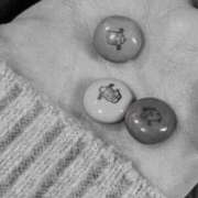 ヒメ日記 2025/12/05 15:55 投稿 ちひろ 新大阪秘密倶楽部