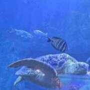 ヒメ日記 2025/12/19 15:05 投稿 ちひろ 新大阪秘密倶楽部