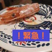 ヒメ日記 2026/01/10 18:40 投稿 ちひろ 新大阪秘密倶楽部