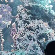 ヒメ日記 2026/01/13 14:50 投稿 ちひろ 新大阪秘密倶楽部