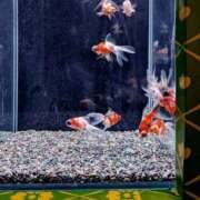 ヒメ日記 2026/03/02 12:20 投稿 ちひろ 新大阪秘密倶楽部