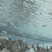 ヒメ日記 2026/03/16 00:00 投稿 ちひろ 新大阪秘密倶楽部