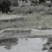 ヒメ日記 2026/03/20 00:00 投稿 ちひろ 新大阪秘密倶楽部