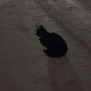 みやび【18歳無知すぎるド素人】 お久しぶりです☺️ モッチーナ