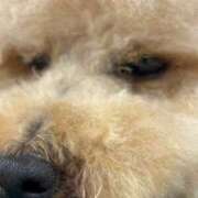 ヒメ日記 2026/01/19 13:18 投稿 みやび【18歳無知すぎるド素人】 モッチーナ