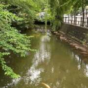 ヒメ日記 2025/08/31 07:19 投稿 らん ハピネス札幌