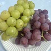 ヒメ日記 2025/09/18 22:45 投稿 るみこ バイオレンス