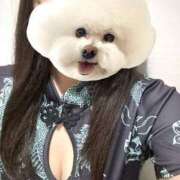 ヒメ日記 2025/10/24 01:15 投稿 るみこ バイオレンス