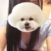 ヒメ日記 2025/11/21 14:55 投稿 るみこ バイオレンス