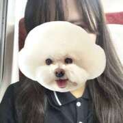 ヒメ日記 2025/11/28 08:32 投稿 るみこ バイオレンス