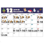 ヒメ日記 2025/12/11 23:17 投稿 るみこ バイオレンス