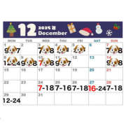 ヒメ日記 2025/12/22 22:05 投稿 るみこ バイオレンス