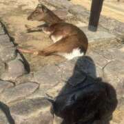 ヒメ日記 2026/03/03 12:35 投稿 るみこ バイオレンス