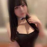 ヒメ日記 2025/11/13 11:24 投稿 もえの チューリップ福井別館