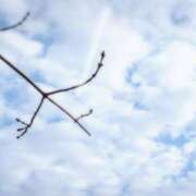 ヒメ日記 2025/12/13 12:13 投稿 桐島美香 こあくまな熟女たち岩国店(KOAKUMAグループ)