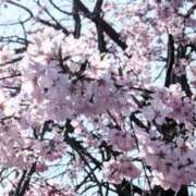 ヒメ日記 2026/03/27 12:48 投稿 桐島美香 こあくまな熟女たち岩国店(KOAKUMAグループ)