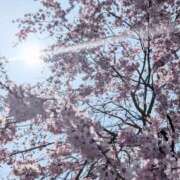 ヒメ日記 2026/03/27 16:45 投稿 桐島美香 こあくまな熟女たち岩国店(KOAKUMAグループ)