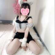 ヒメ日記 2026/04/21 18:22 投稿 イチカ ギャルズネットワーク 姫路