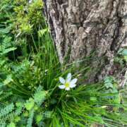 ヒメ日記 2025/09/21 13:20 投稿 あいる 熟女デリヘル倶楽部