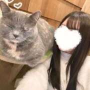 ヒメ日記 2026/01/10 11:41 投稿 まなか 秋葉原コスプレ学園(AKG)